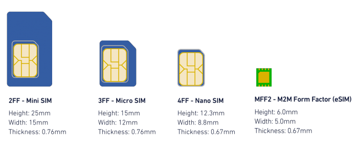 1 esim explainer